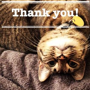 *** THANK YOU FOR SHOPPING ***